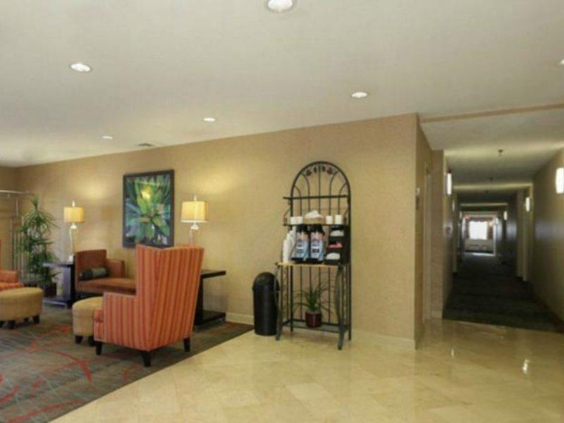 Wyndham Garden Hotel - Jacksonville Exterior foto